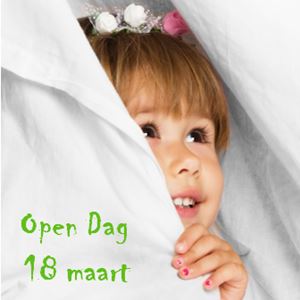 Open Dag 2017